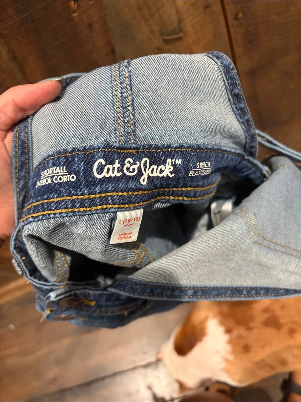 Cato blue straps